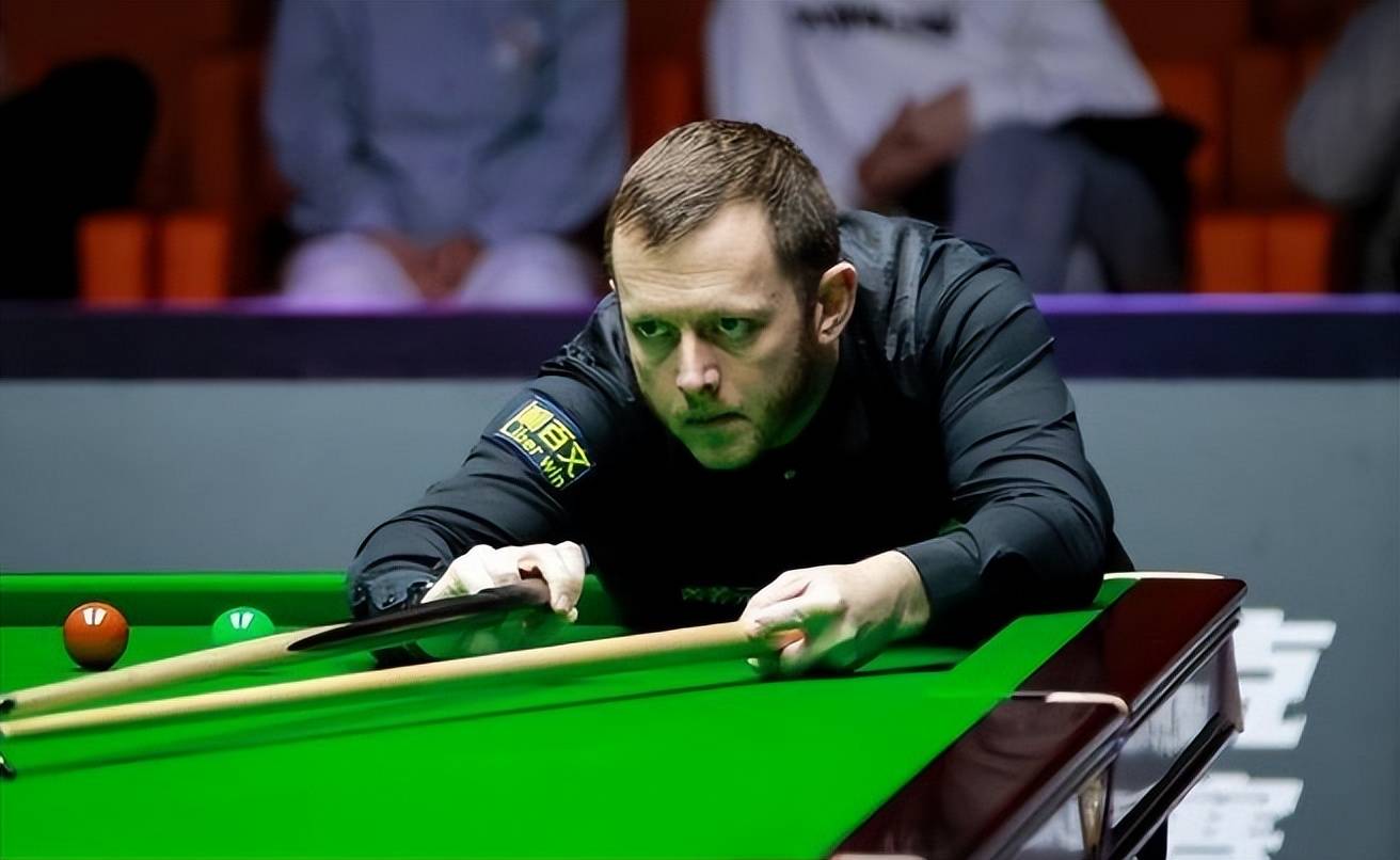 伟译在羽毛 伟译在羽毛