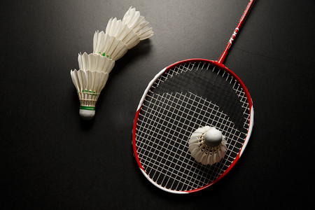 洲和欧洲的 洲和欧洲的